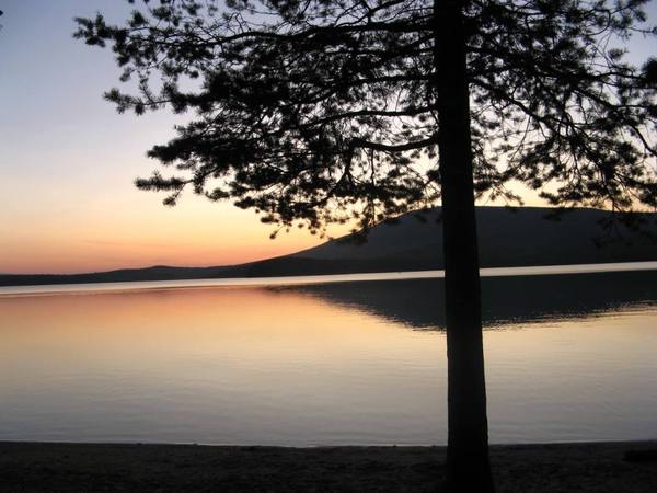 Елена Чернышева