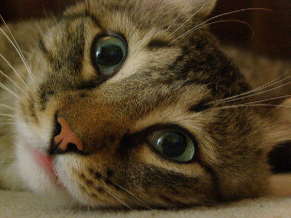 Анатолий В.