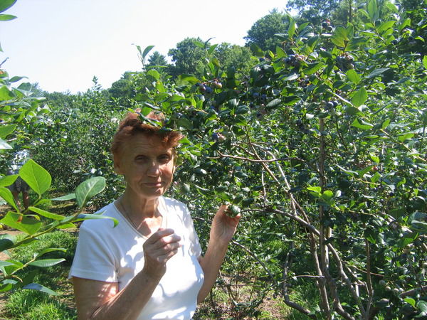 Лилия Малыхина