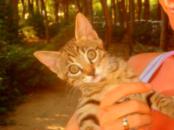 Natalia Kshukina-Yigit