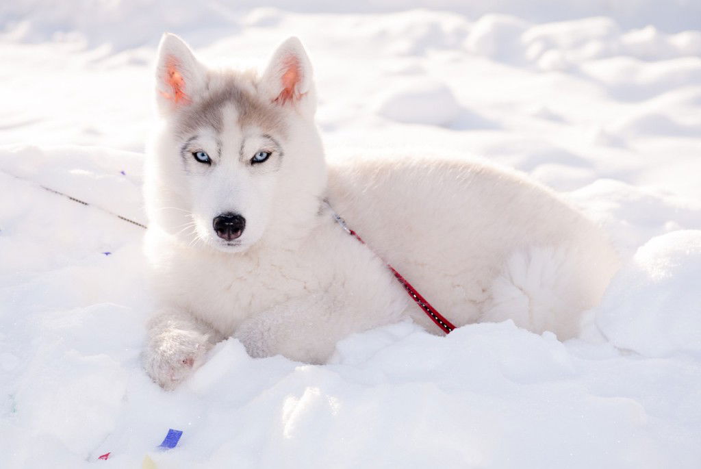 Ирина Юрьевна