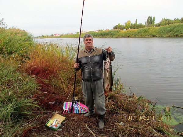 Алексей Дутлов