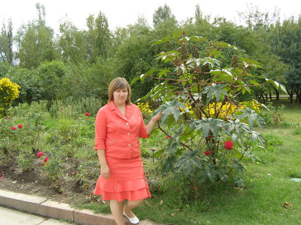 Марина Малиновская