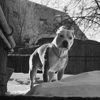 Никита Косенков