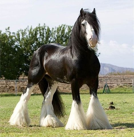 Екатерина ........