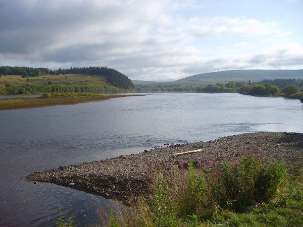 Сашенька Брейн