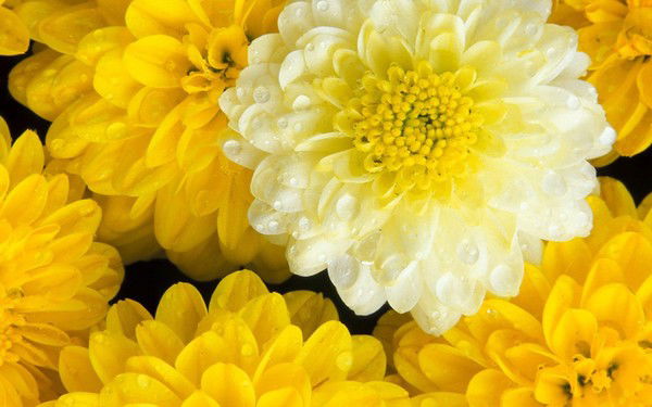 Лилия Хуснутдинова