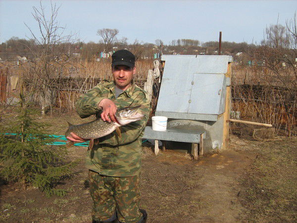 Роман Шпилёв