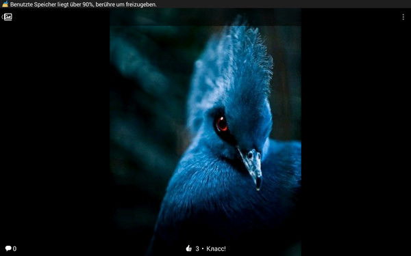 Виктория Победа