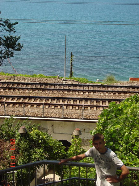 Николай Гаврилов