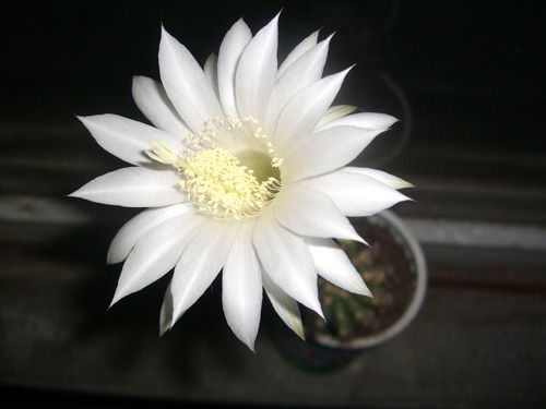 Гульмира Жолумбетова(Айтпаева)