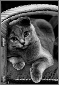 Лариса Бакалкина