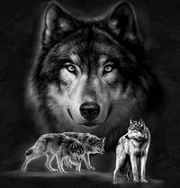 Витя Демидов