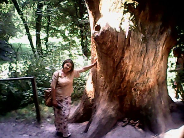 Оксана Бабаева