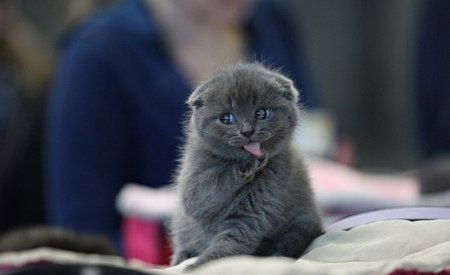 Фёдор Попов