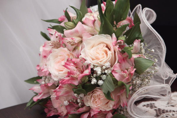 Наташа Коробцова