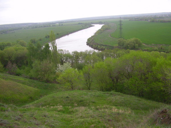 Дмитрий Дергачев