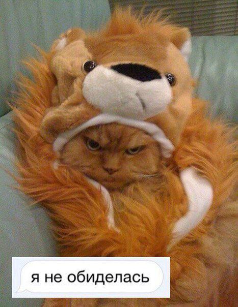 Настя Просто