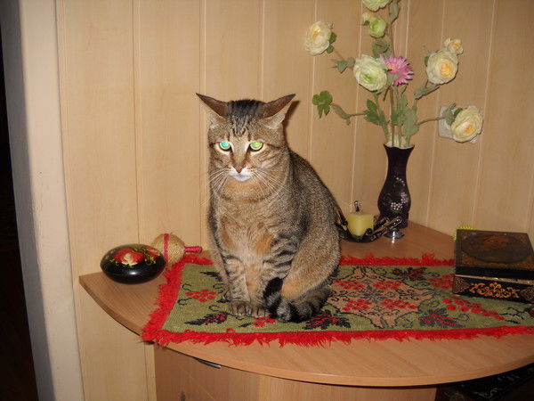 Татьяна Пасечник