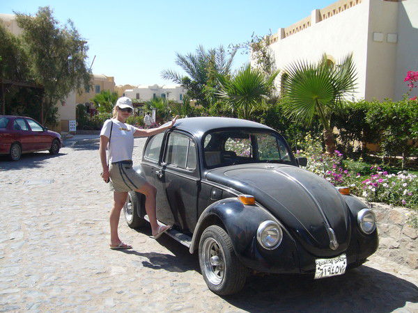 Ольга Добровольская