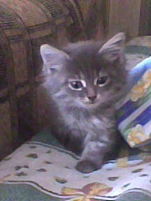 Ольга Руднева