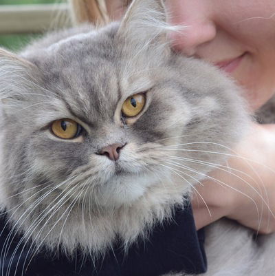 Валерия Юрасова