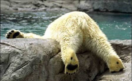 Дмитрий Козырев