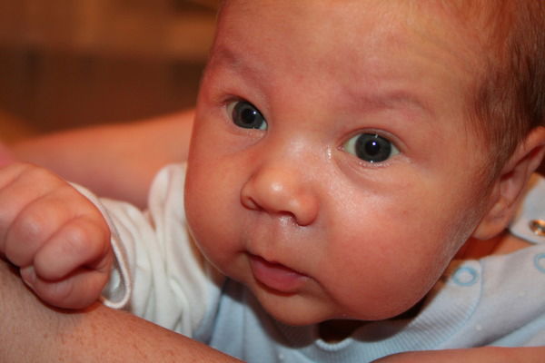 Алексей Смирнов