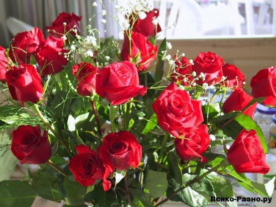 Алимаш Кулакметова