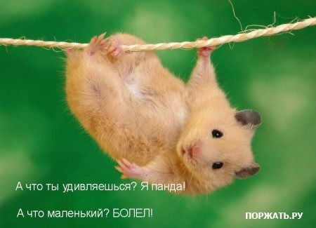 Роман Ольденбургер