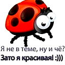 Светлана Николаева