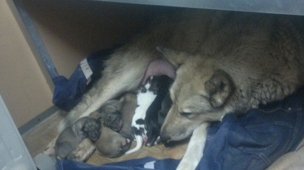 Илья Пономарёв