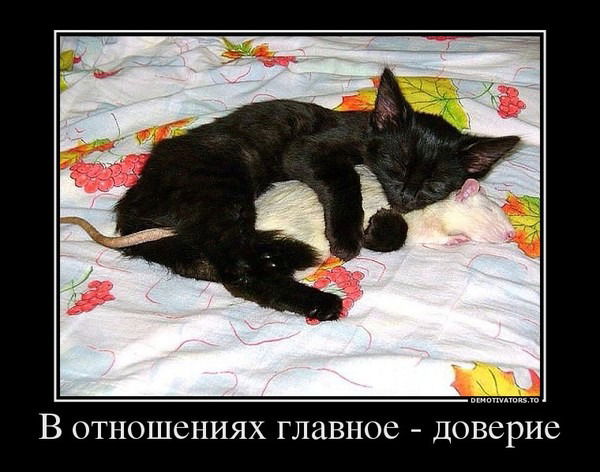 Чья-То Муза