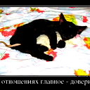 Чья-То Муза
