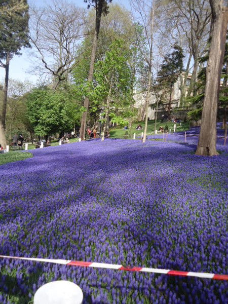 Бакытжан Кадырова