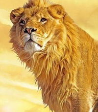 Никита Коволёв