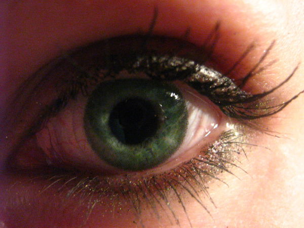 Елена Бондаренко