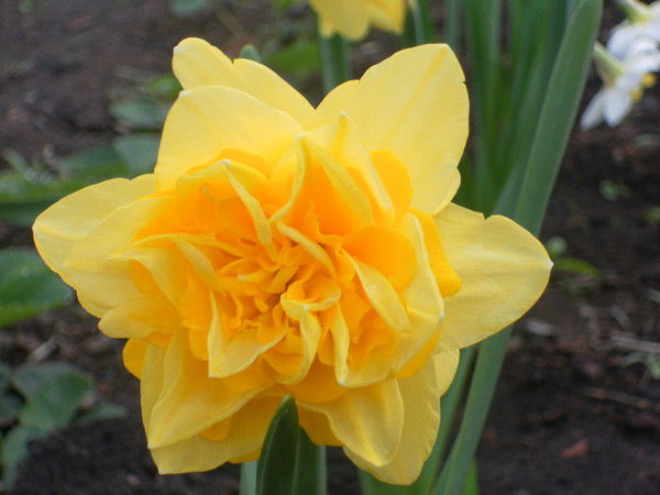 Татьяна Ермилова