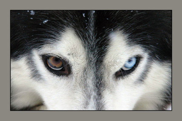 Антон Захаров