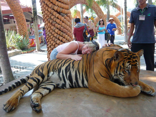 Неизвестно Неизвестно