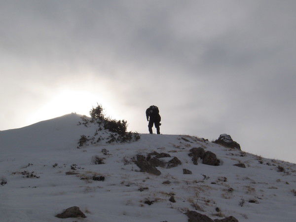 Человек Неразумный