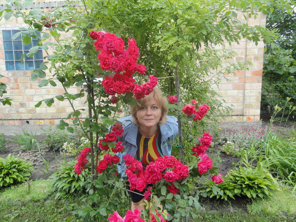 Ирина Сергиенко