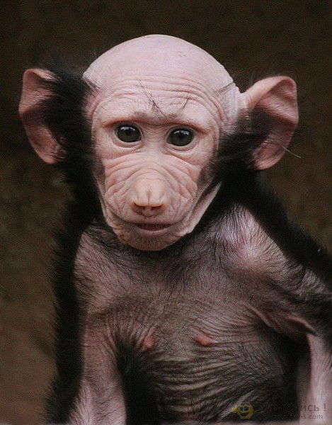 Никита Васильев