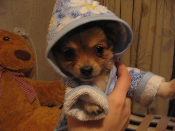 Наталья Соколова