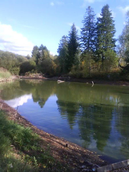 Светлана Стародубцева