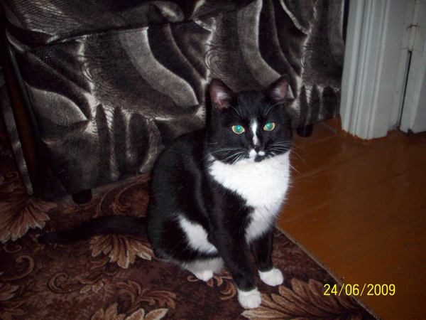 Зинаида Вершинина