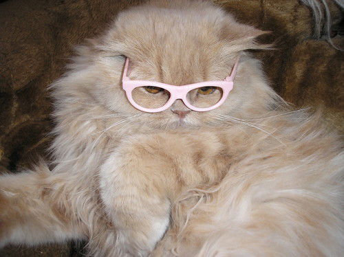 Татьяна Иноземцева