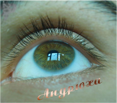 Андрей Толокнов