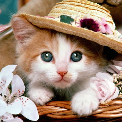 Ангелина Ягело