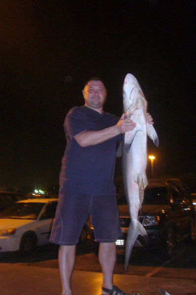 Андрей Гумеров